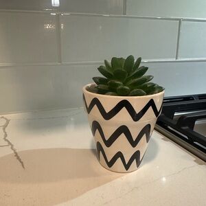 Small Faux Succulent Plant
